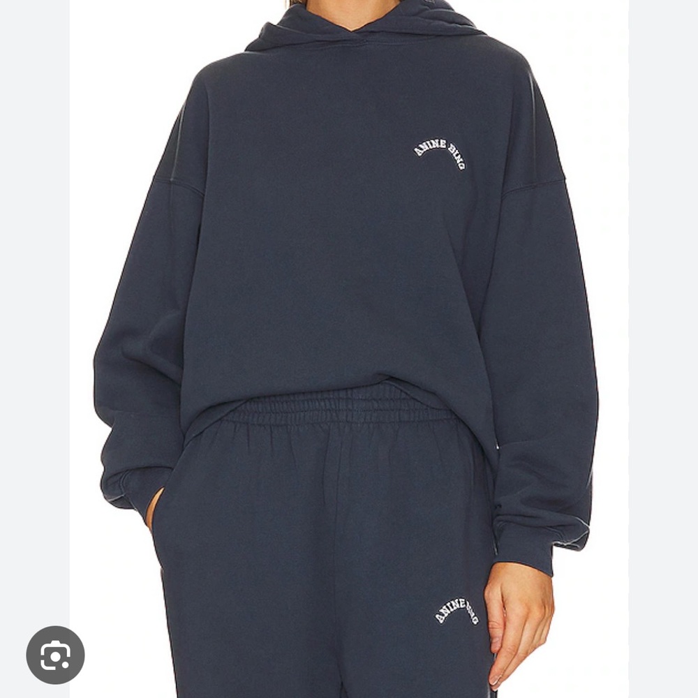 Anine Bing Navy Hoodie and Joggers